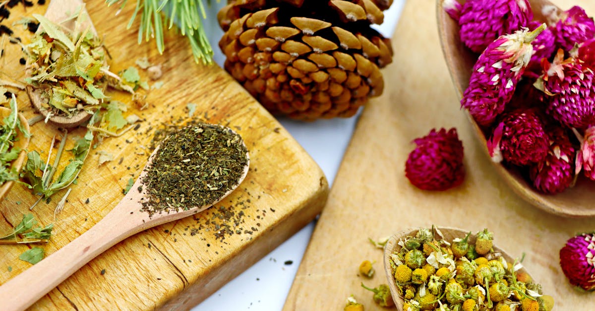 Ashwagandha vs Rhodiola: Which Adaptogen Is Right for Your Stress Profile?