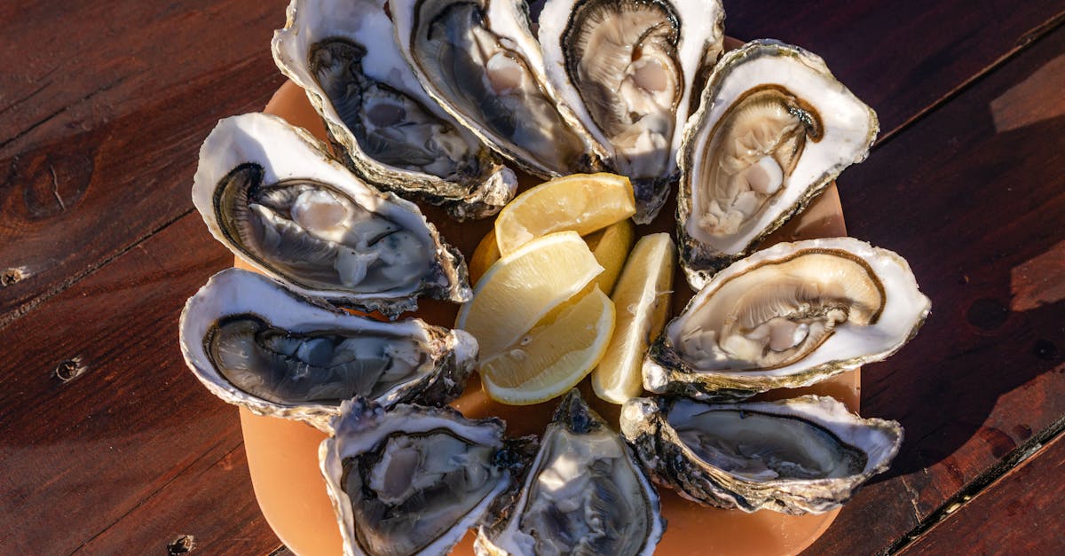 Best Zinc for Immune System: Bioavailability, Stack Synergies, and Lab-Backed Dosing