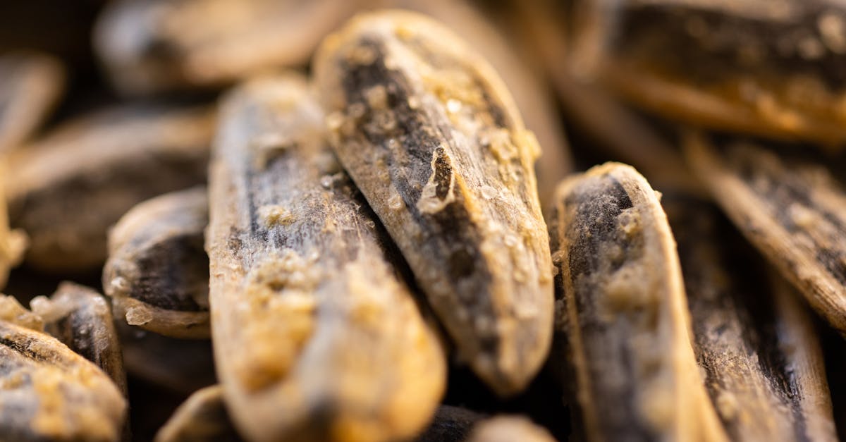 What the Research Actually Says About Black Seed Oil Reviews
