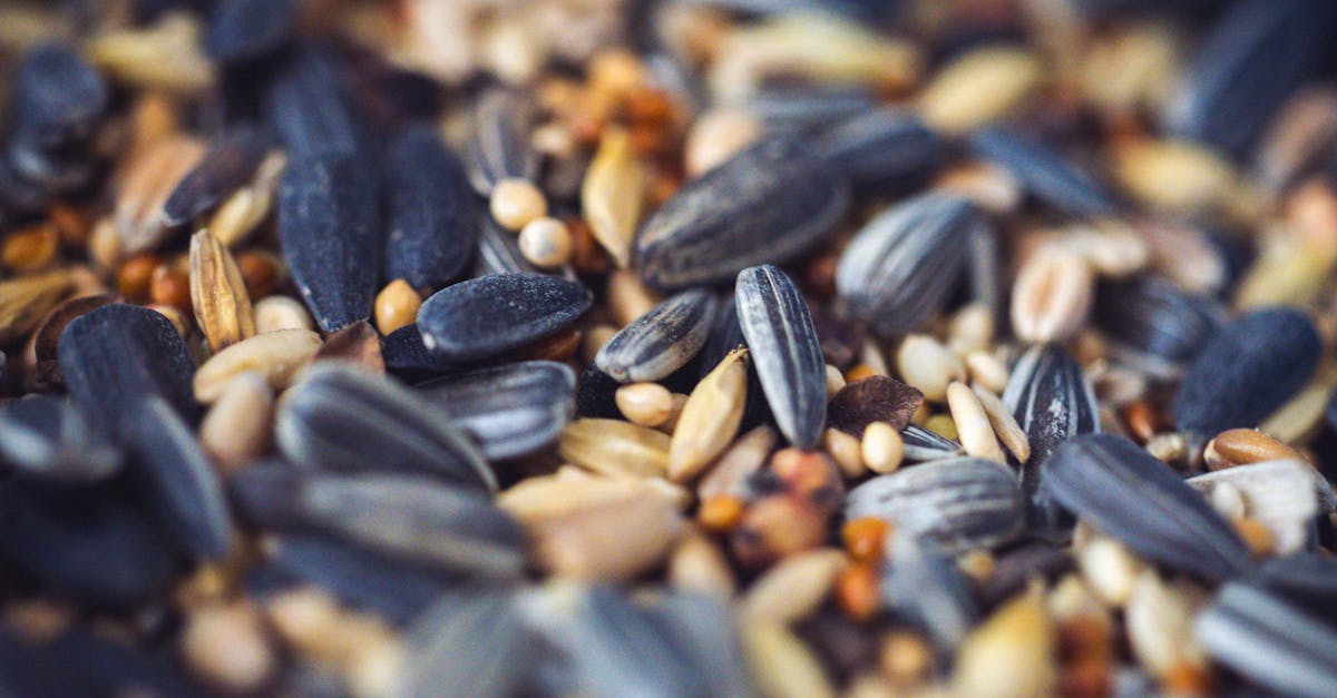 Black Seed Oil Uses: Who Actually Benefits — and Who Should Skip It