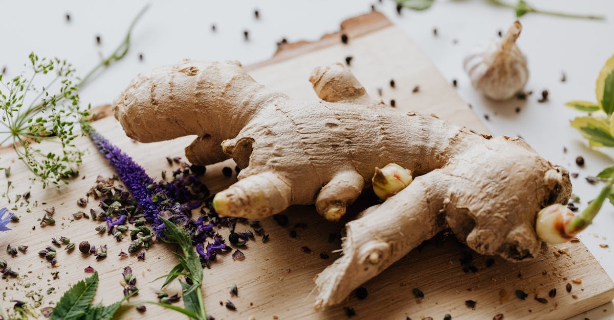 Curcumin and Piperine: Bioavailability, Inflammation, and Brain Health
