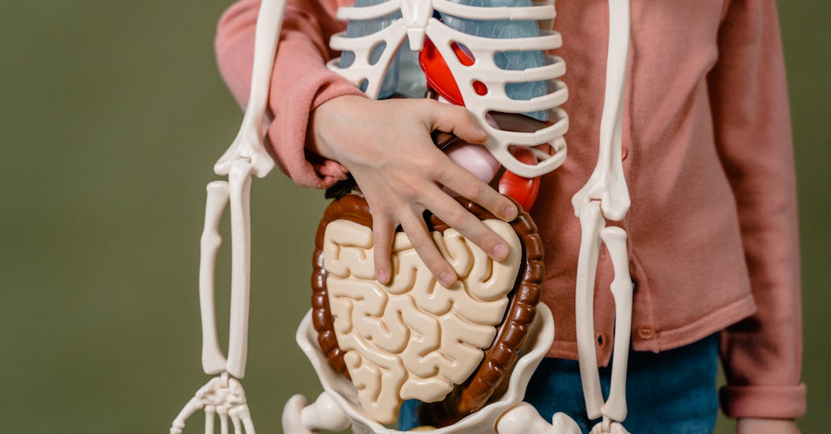 Digestive Enzymes Benefits: Evidence-Backed Benefits and Realistic Expectations