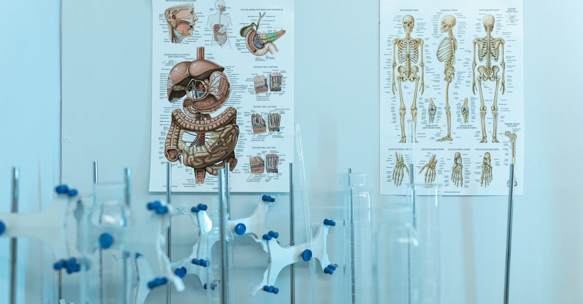 Does Probiotics Help with Diarrhea: Benefits, Dosage, and What the Research Actually Shows
