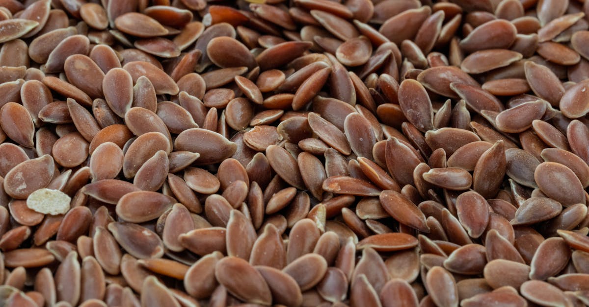 The Practitioner's Guide to Fenugreek Testosterone Dosage