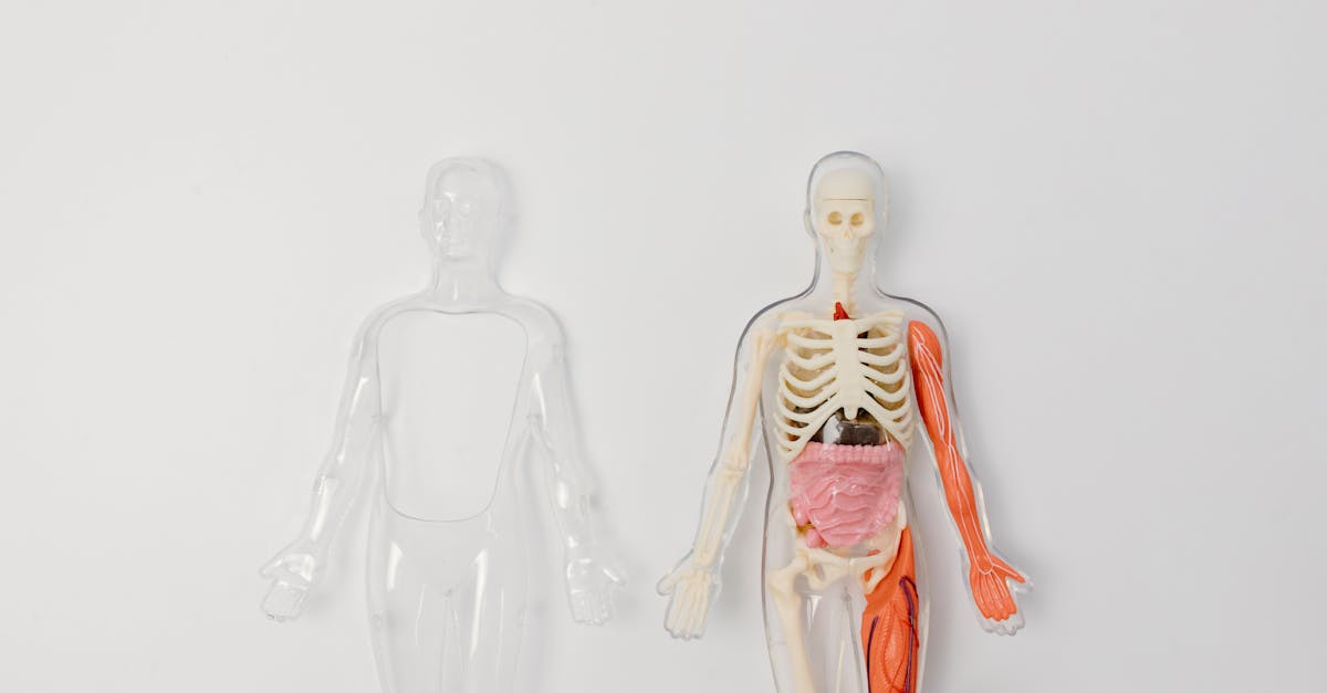 What the Research Actually Says About Glucosamine Chondroitin Interactions
