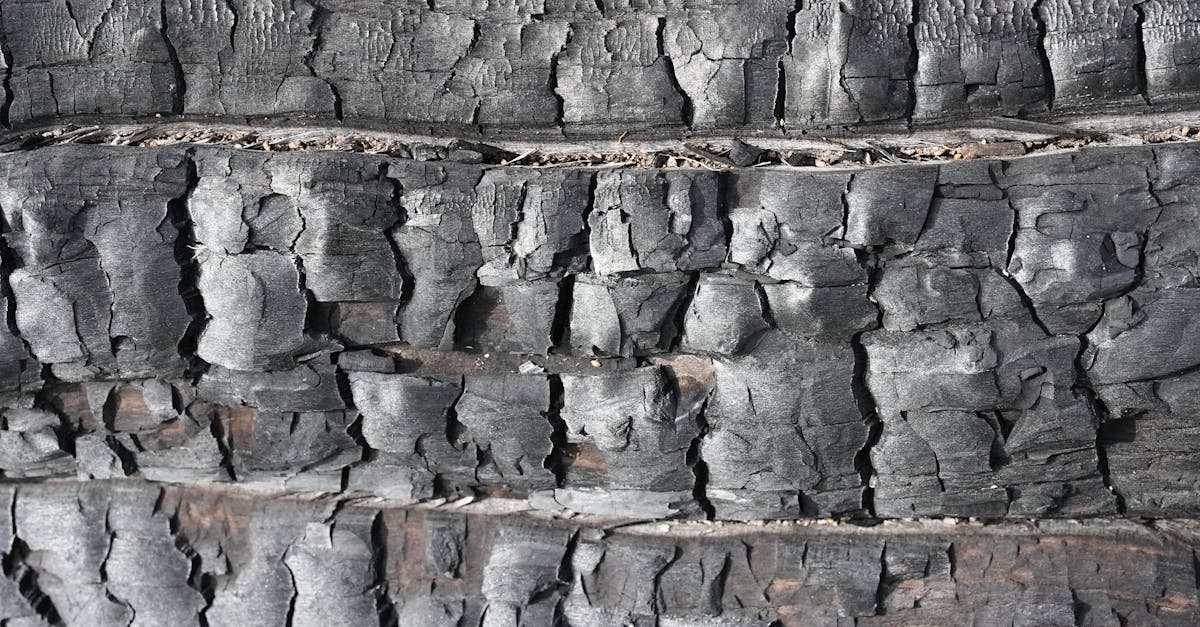 What the Research Actually Says About How Long Does Activated Charcoal Take to Work