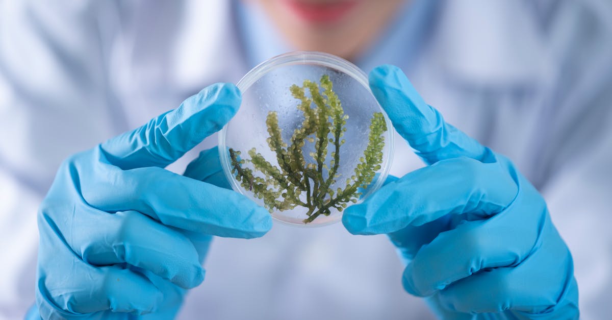 How Long Does Astaxanthin Take to Work: Evidence-Backed Benefits and Realistic Expectations