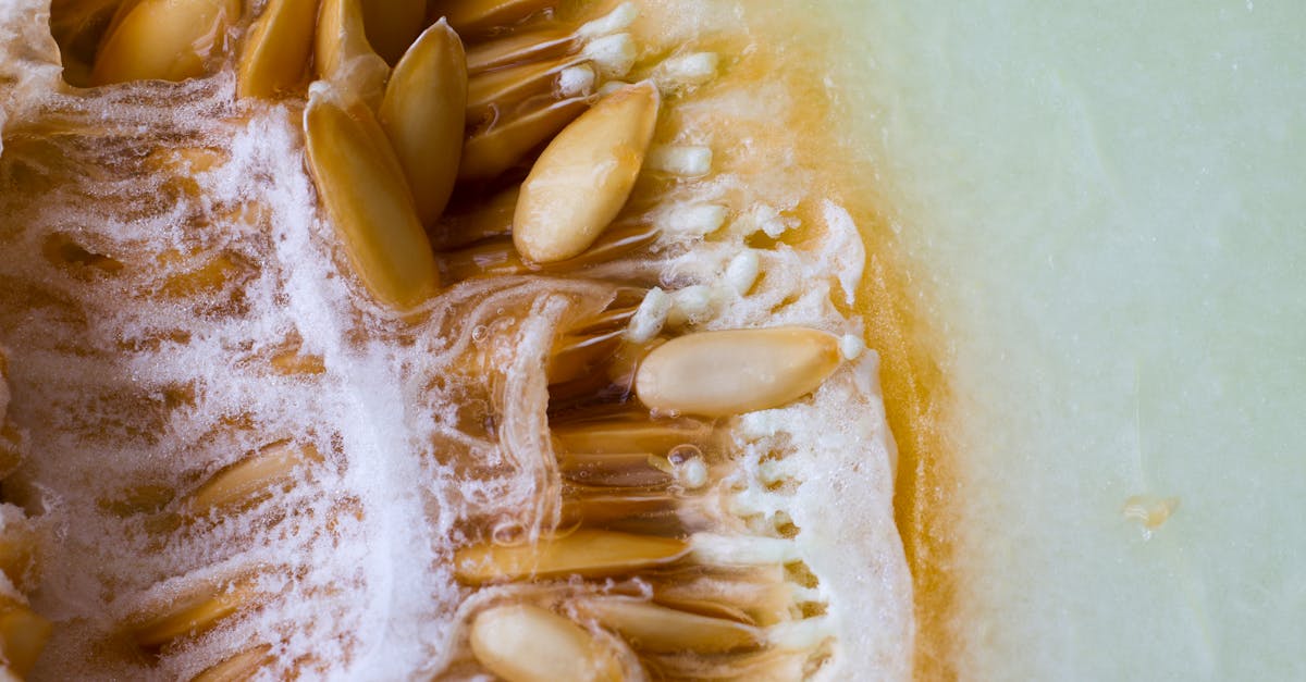 The Practitioner's Guide to How Long for Psyllium Husk to Work
