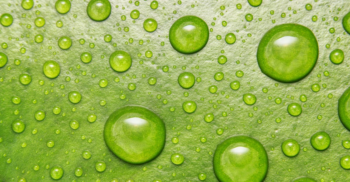 How Much Hyaluronic Acid Per Day: Bioavailability, Stack Synergies, and Lab-Backed Dosing