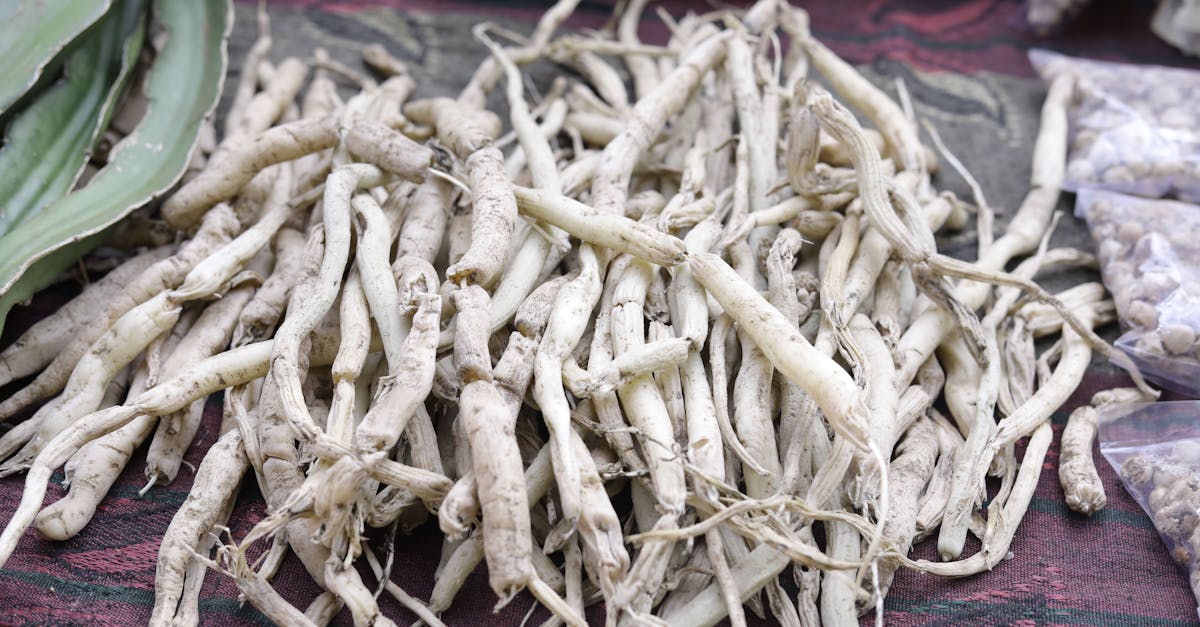 The Practitioner's Guide to How Quickly Does Ashwagandha Work