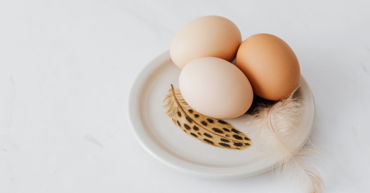 The Practitioner's Guide to How Quickly Does Vitamin B12 Work