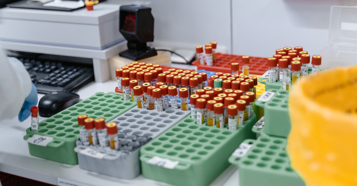 How to Read Your Blood Test Results: A Plain-English Guide to Every Marker