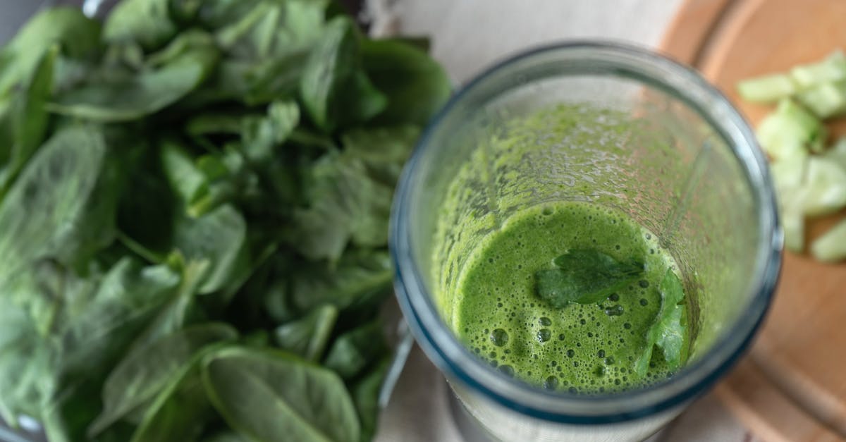 Iron for Vegetarians: A Clinical Guide to Dosage, Mechanism, and Outcomes