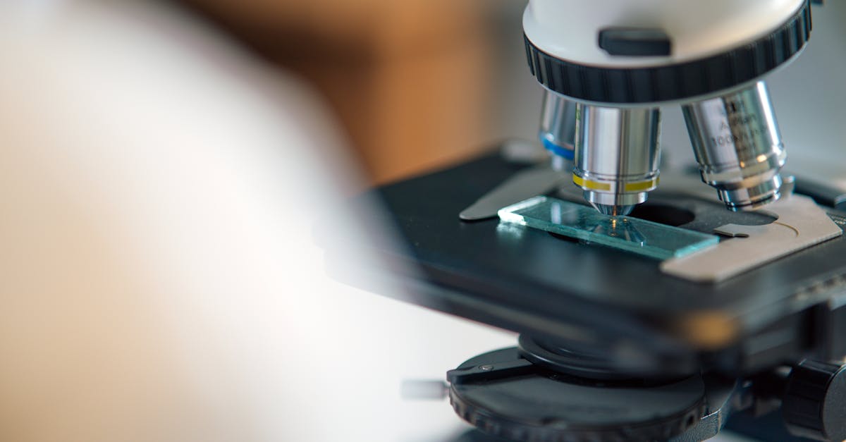 Is DHEA Safe: Bioavailability, Stack Synergies, and Lab-Backed Dosing