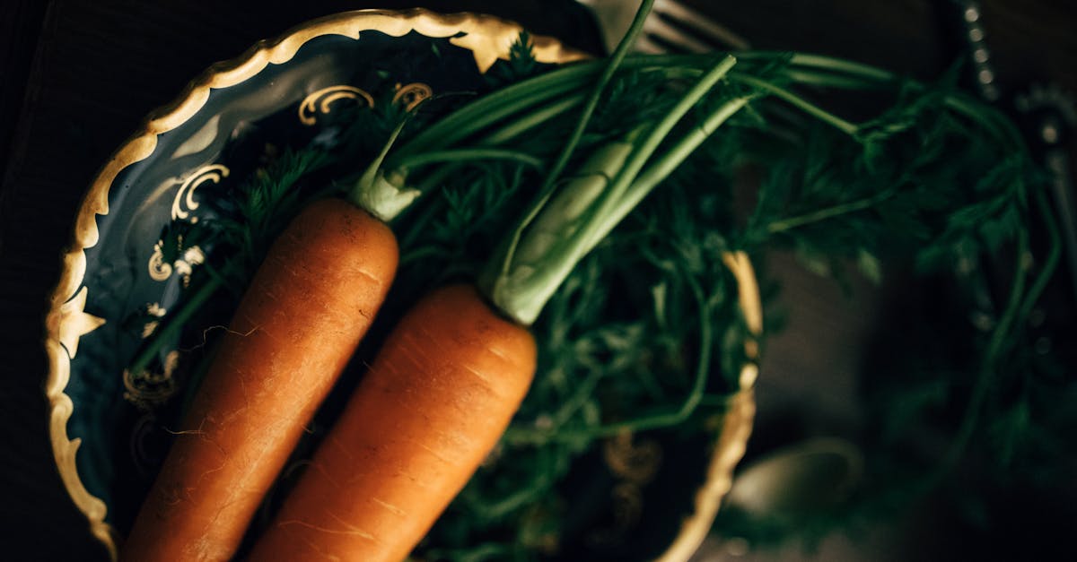 Korean Ginseng for Energy: Bioavailability, Stack Synergies, and Lab-Backed Dosing