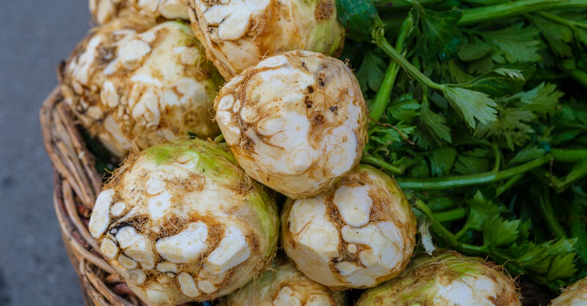 Maca Root: Libido, Energy, Hormone Balance, and the Adaptogen Evidence