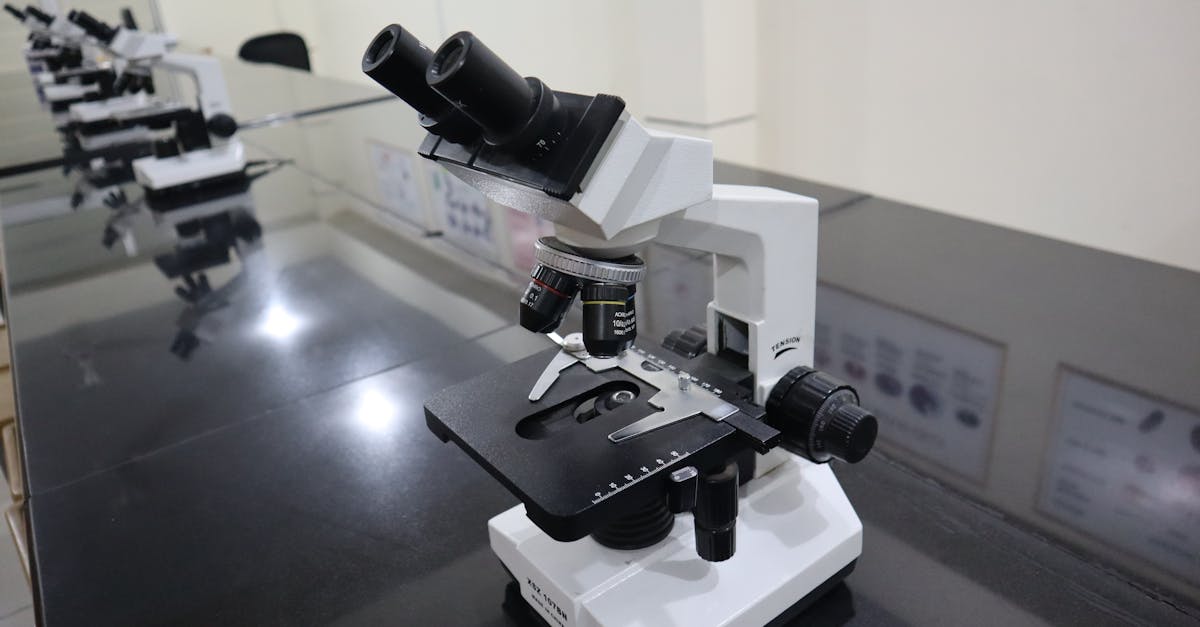 Tracing the Biochemistry of Manganese Side Effects