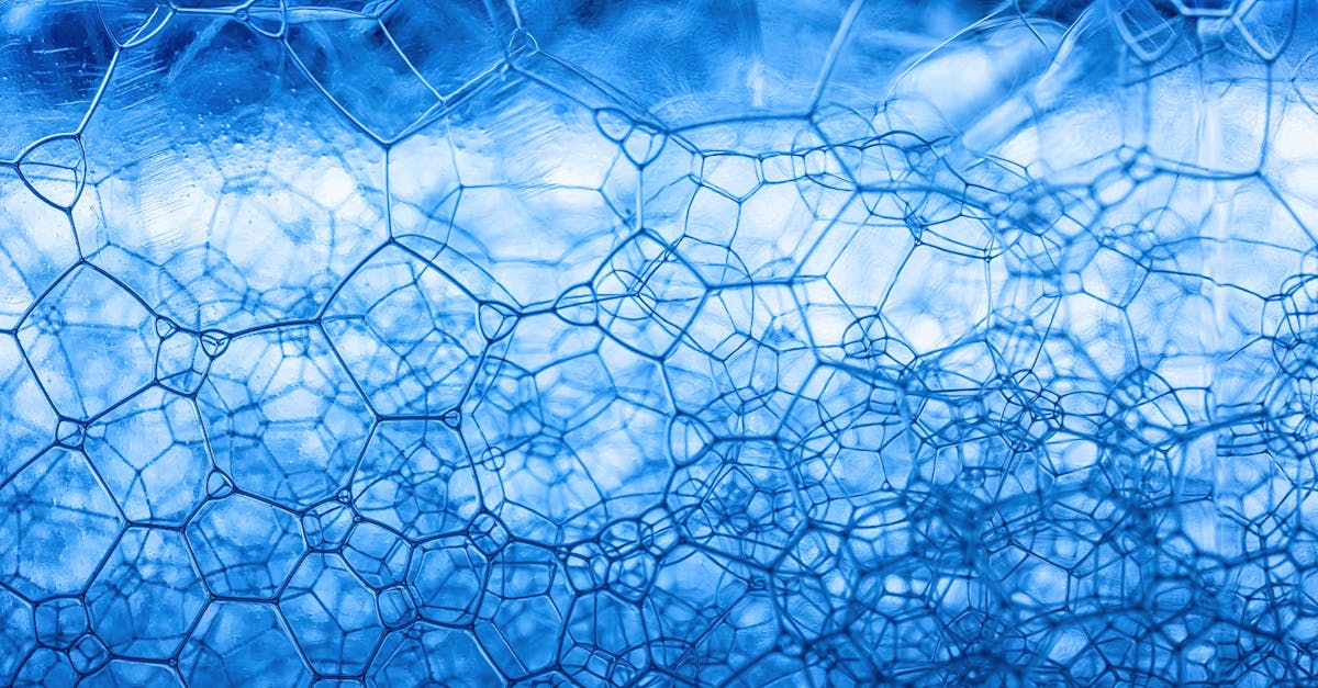 NMN vs NR: Which NAD+ Precursor Is More Effective?