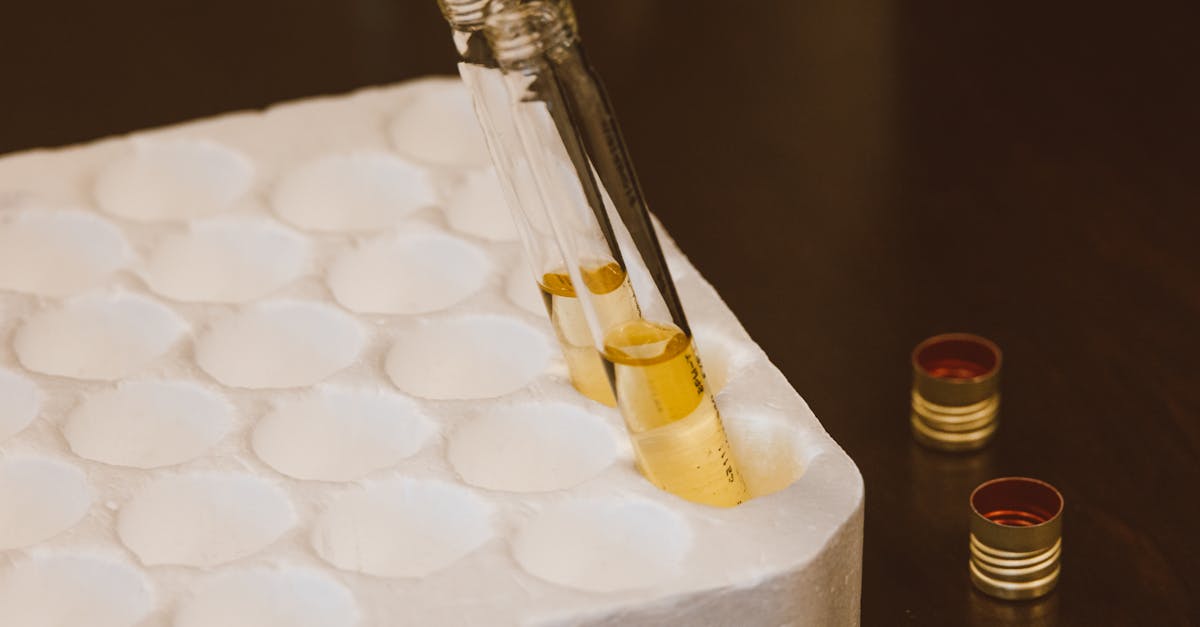 Probiotics Too Much: Bioavailability, Stack Synergies, and Lab-Backed Dosing
