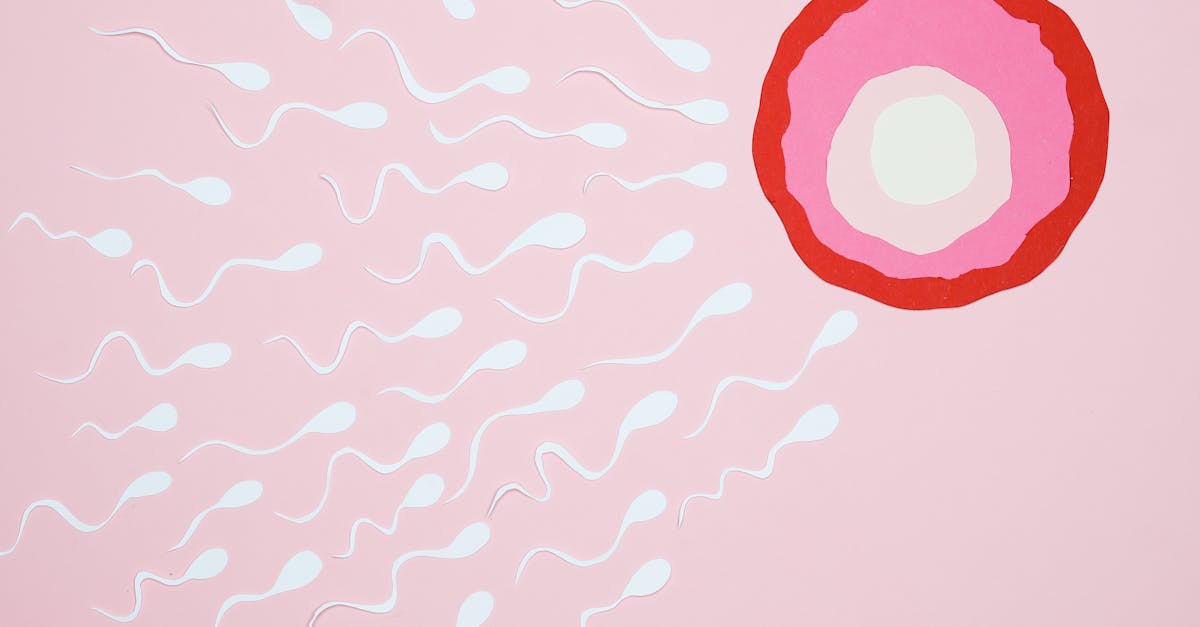 Probiotics Uses: Evidence-Backed Benefits and Realistic Expectations