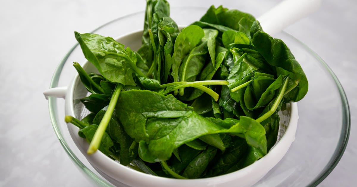 Recommended Daily Intake of Iron: A Clinical Guide to Dosage, Mechanism, and Outcomes