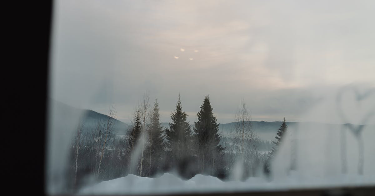 Low Mood in Winter: SAD, Vitamin D, Light Therapy, and the Full Protocol