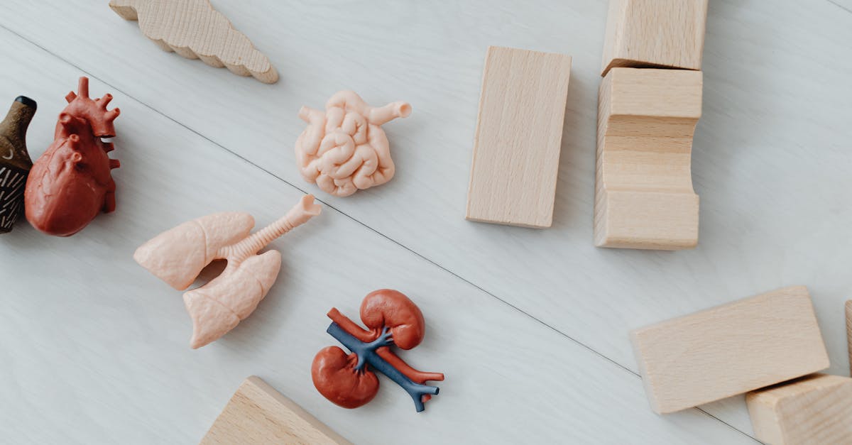 Selenium: Thyroid Enzymes, Antioxidant Defense, and the SeMet Advantage