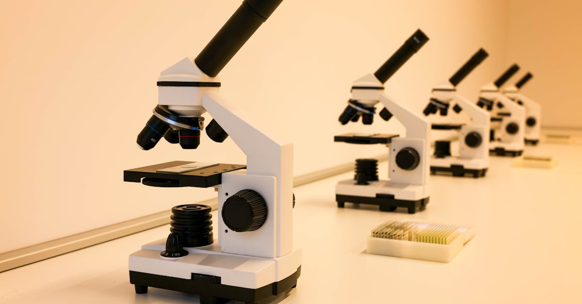 Are Serrapeptase vs Nattokinase Interchangeable? The Research Says No — Here's Why