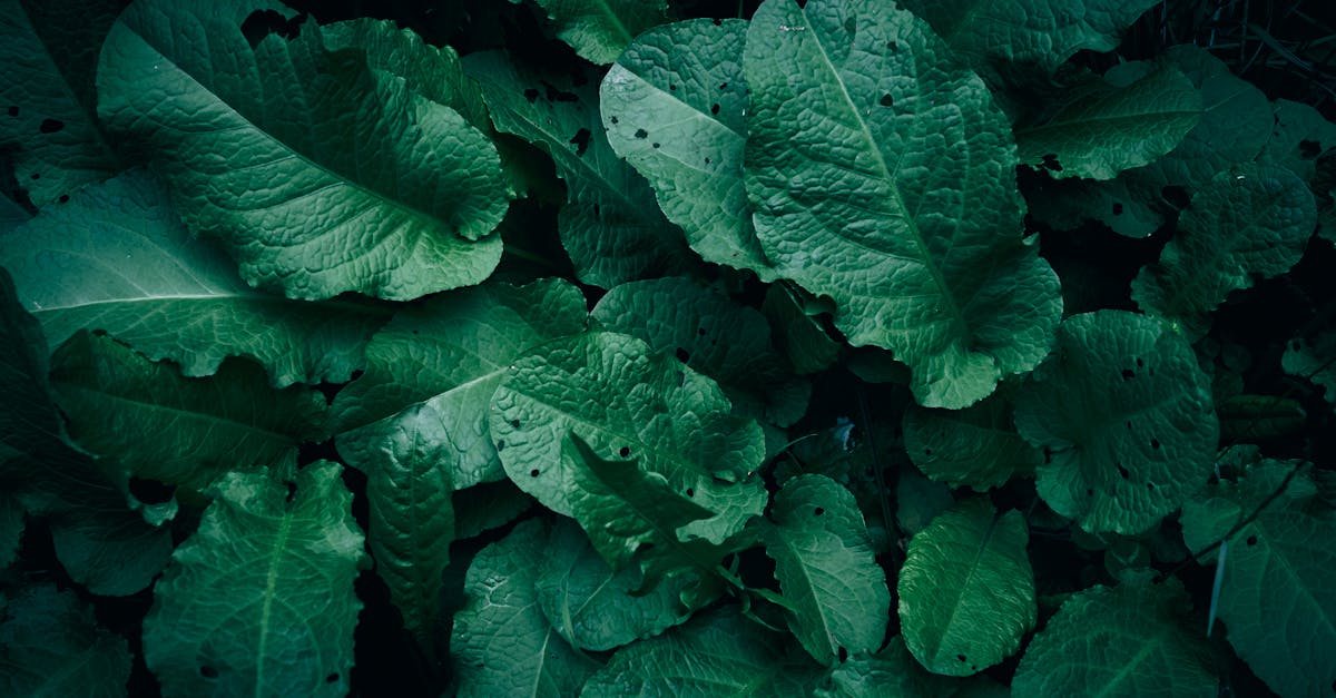 Are These the Signs of Magnesium Deficiency You're Missing?
