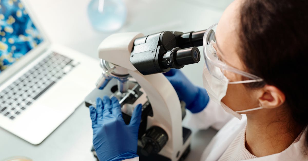 Supplements for H Pylori: Bioavailability, Stack Synergies, and Lab-Backed Dosing