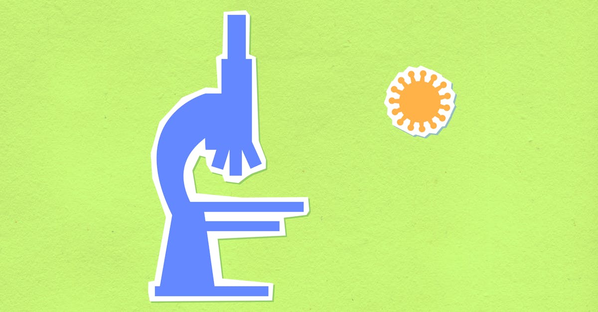 Thyroid Support: Nutrients That Affect T3, T4, and Conversion — What the Evidence Shows