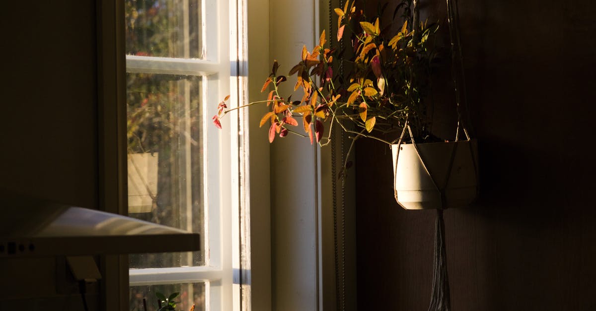 Too Much Vitamin D3: Who Actually Benefits — and Who Should Skip It