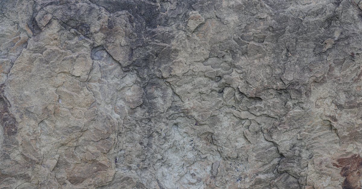 What the Research Actually Says About Vanadium Benefits