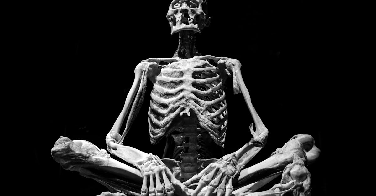 Vanadium: The Trace Mineral for Glucose Metabolism and Bone Density