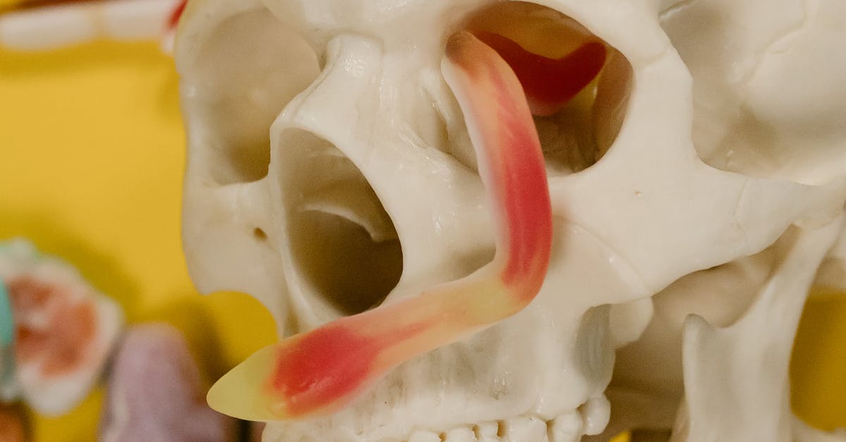 Vitamin D3 + K2: The Combination Your Bones and Heart Actually Need