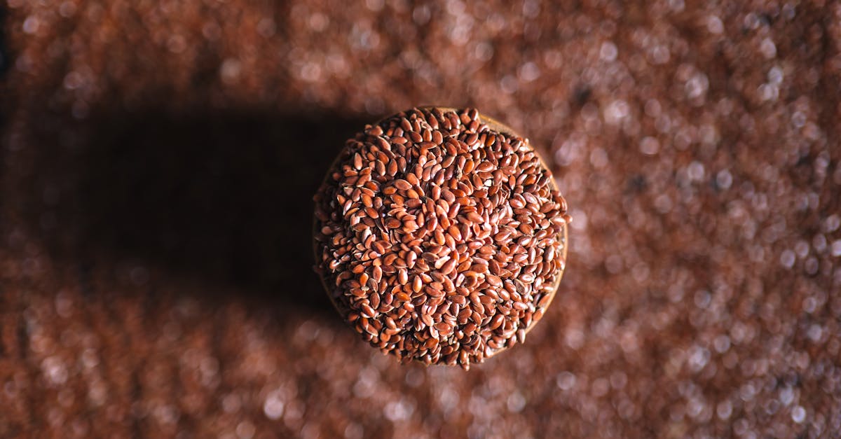What the Research Actually Says About What Does Black Seed Oil Do