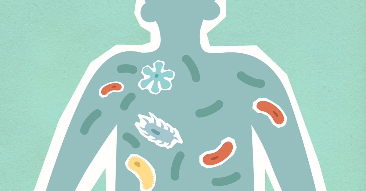 What Does Probiotics Do: Evidence-Backed Benefits and Realistic Expectations