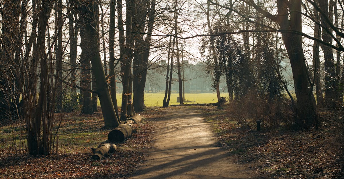 Is What Is Vitamin D3 Used for Worth Taking? A Look at the Clinical Trials