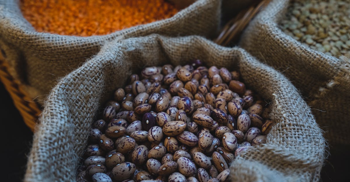 Whey vs Plant Protein: A Head-to-Head on Amino Acids and Digestion