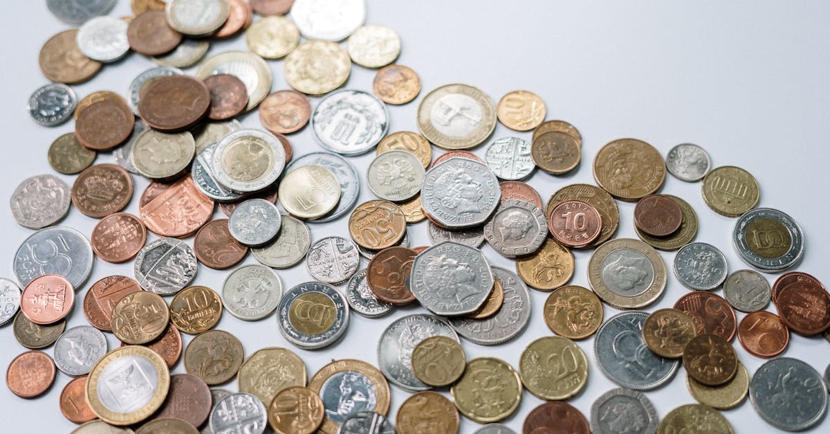 Choosing Between Zinc vs Copper: What Bioavailability and Cost Tell Us